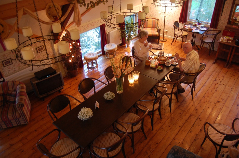 Tree house interior