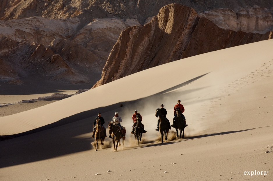 Horse riding in the desert