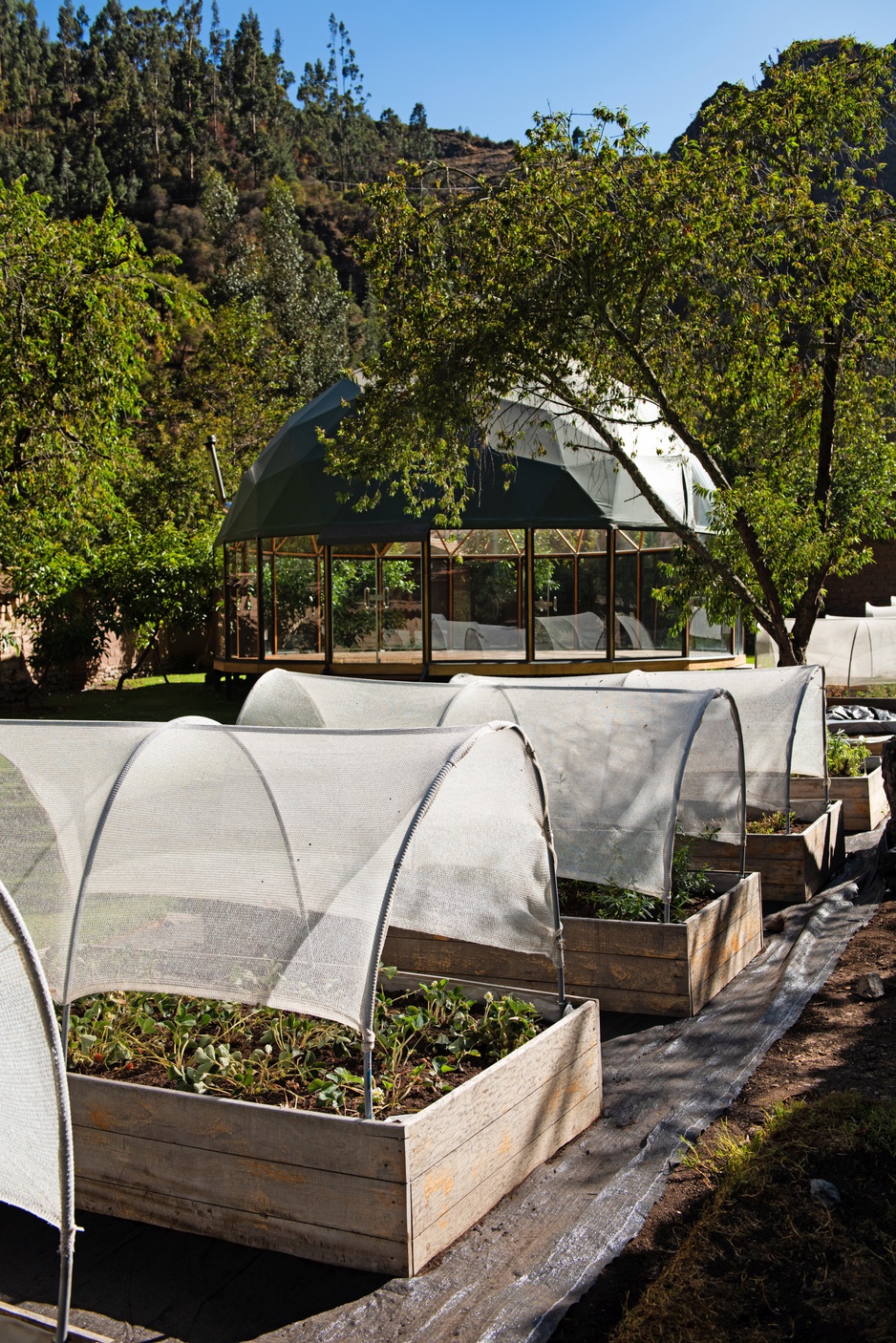 Las Qolqas Eco Resort Garden & Geodesic Dome for Yoga & Meditation