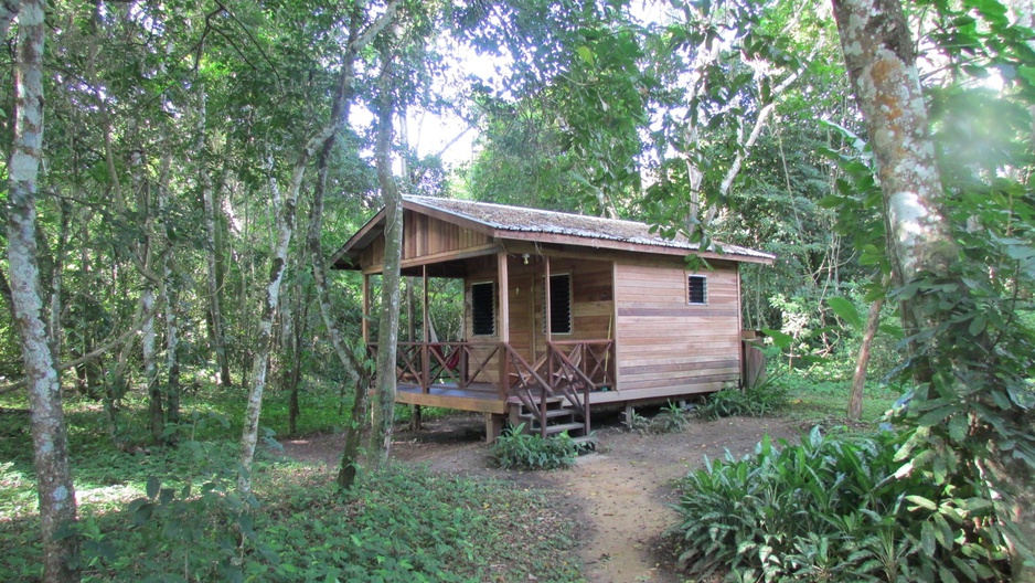 Parrot Nest Lodge bungalow