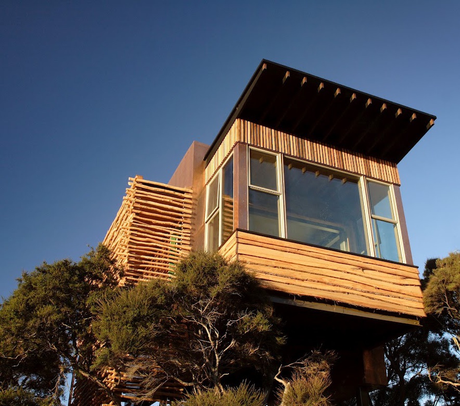 Hapuku Lodge tree house