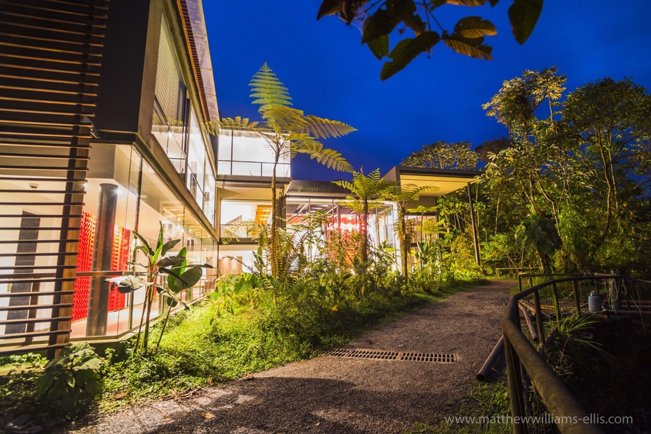 Mashpi Jungle Lodge pathway