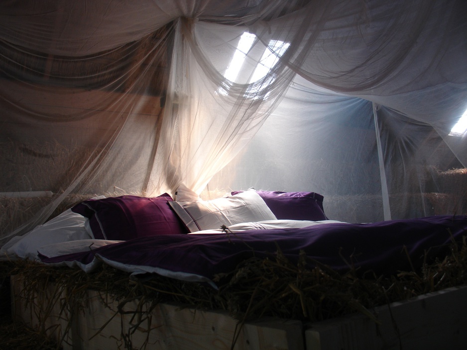 Fairytale bed