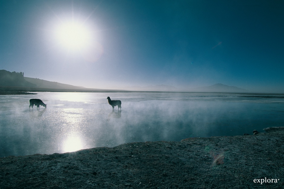 Salar de Atacama