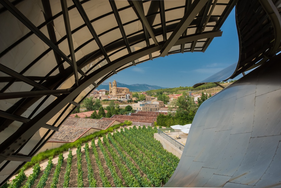 Marques De Riscal Vineyard