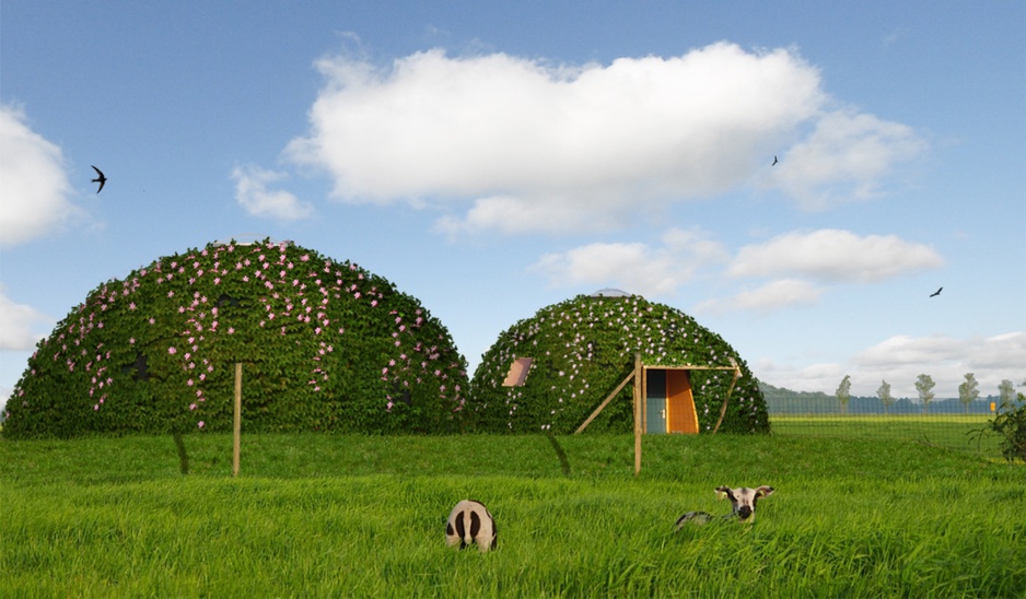 Green igloos