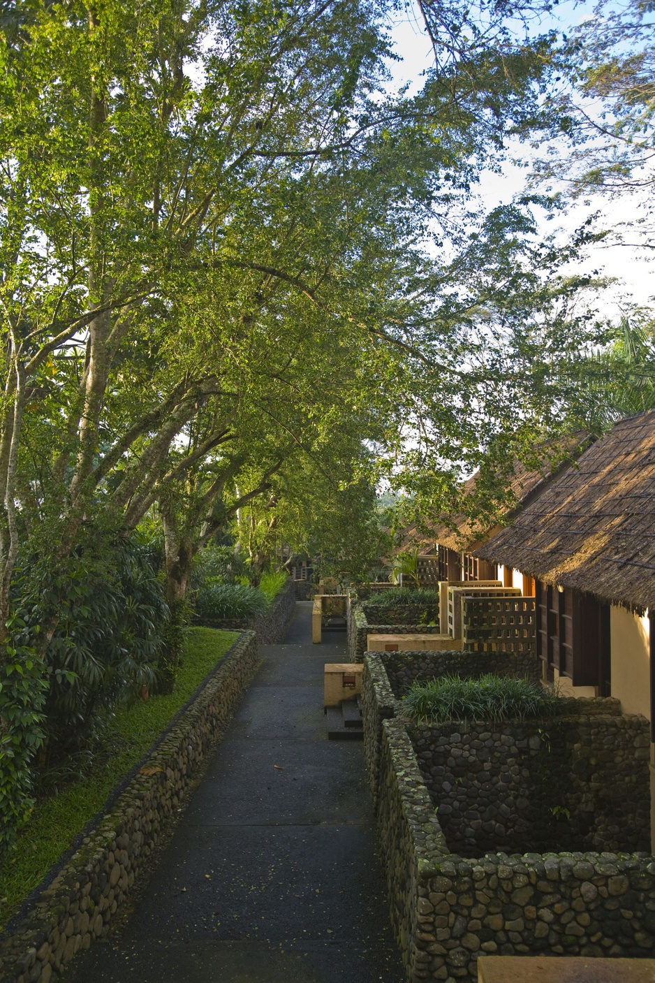 Alila Ubud Walkway