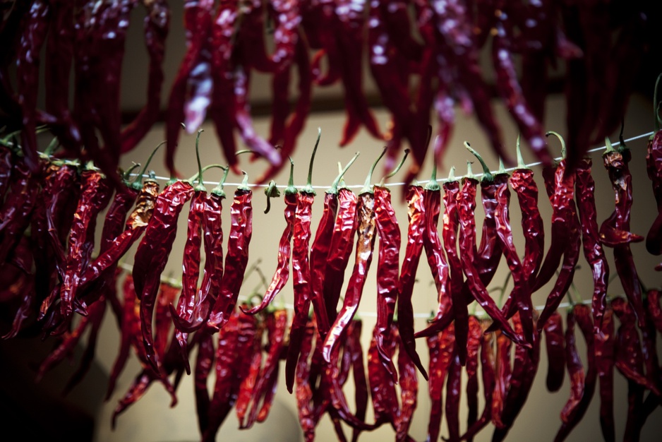 Spitsbergen Ship dried paprika