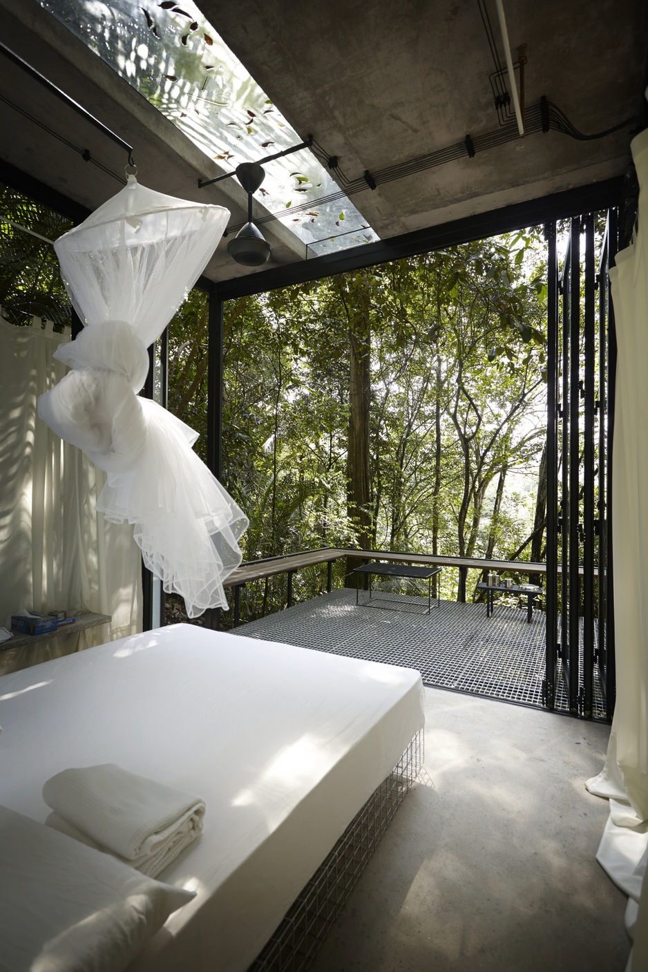 Transparent jungle room