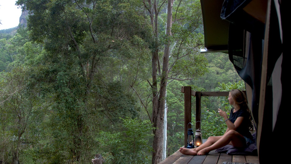 View from the tent on the jungle