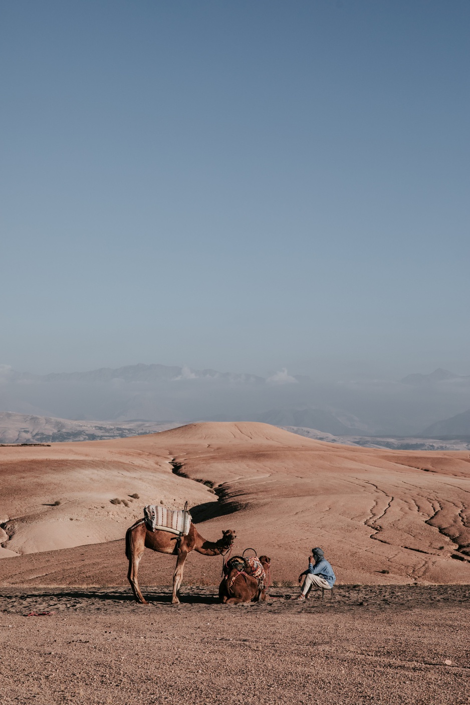 Inara Camp Desert Camel Ride