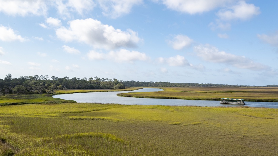 Little St. Simons Island Skimmer Boat Trip