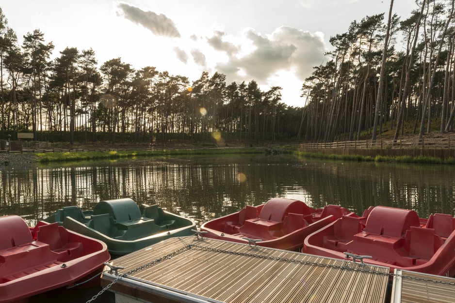 Woburn lake