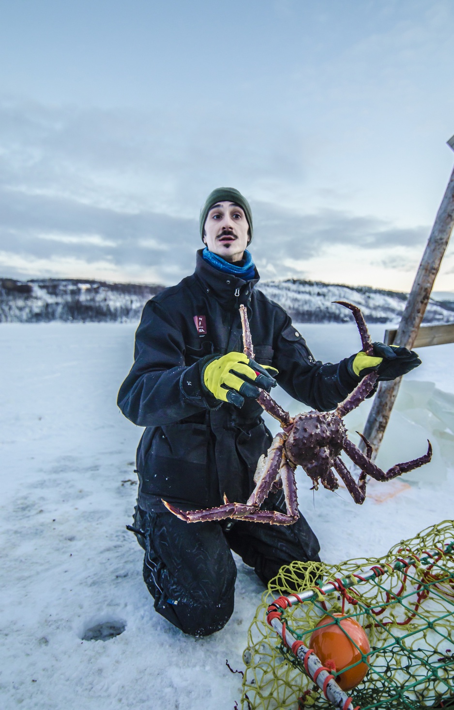 Giant crab from ice water