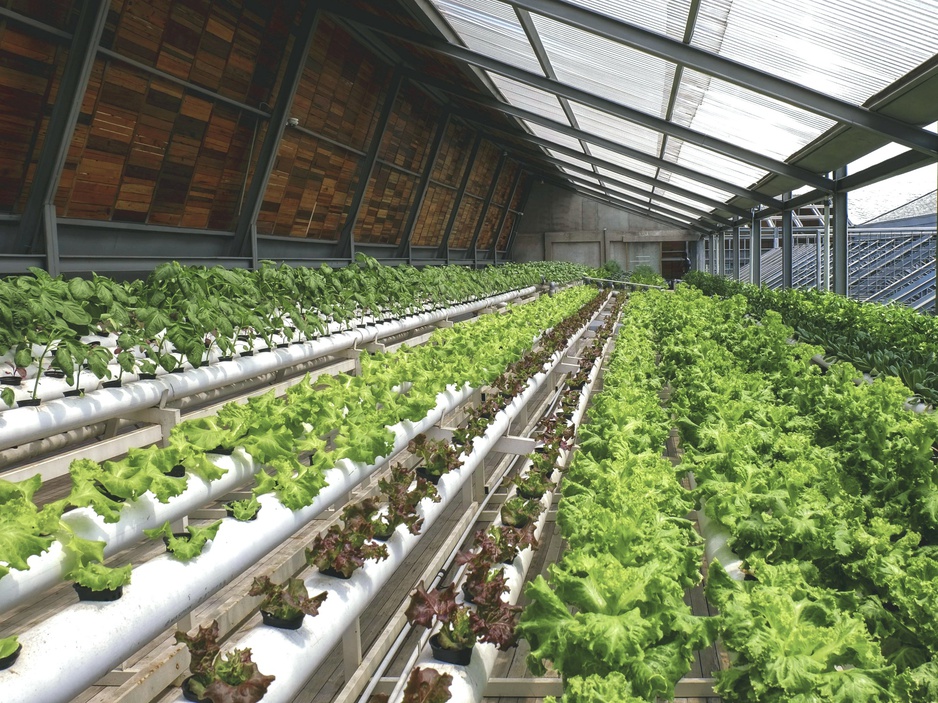 Greenhost Boutique Hotel Creative Indoor Farming