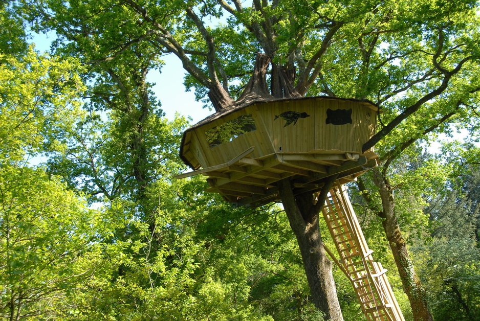 Alicourts tree house