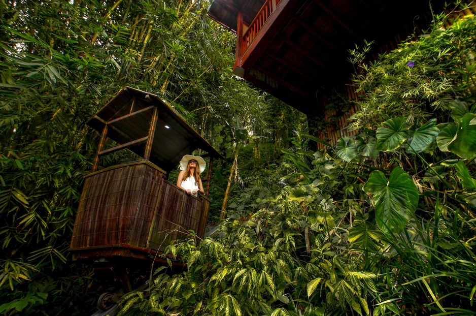 Nandini Jungle Resort Wooden Funicular