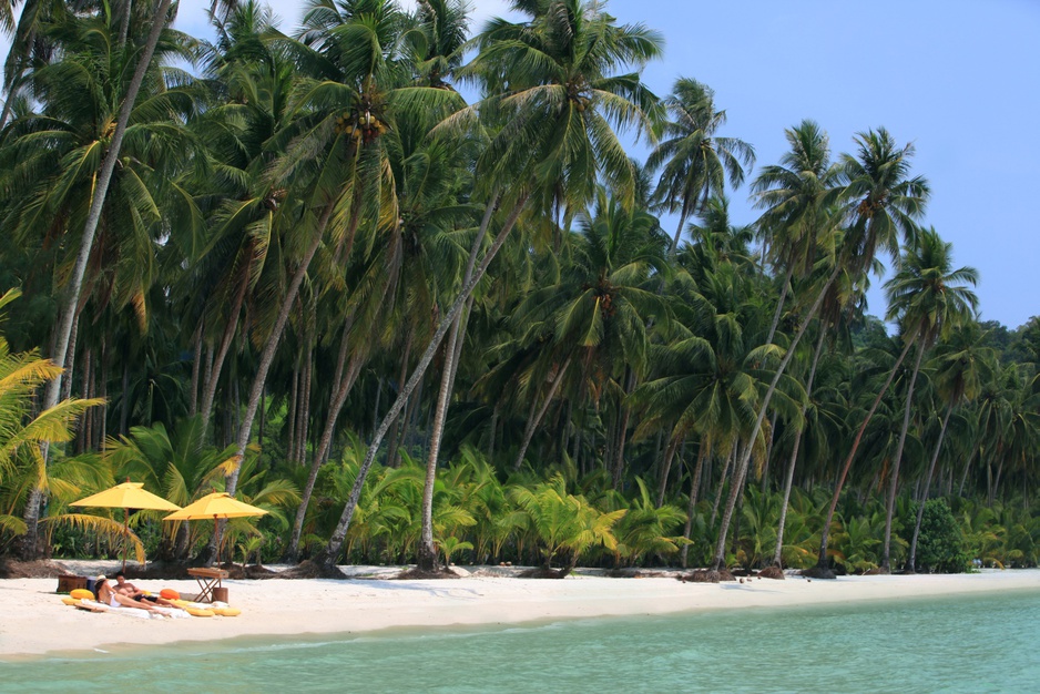 Private Beach Picnic