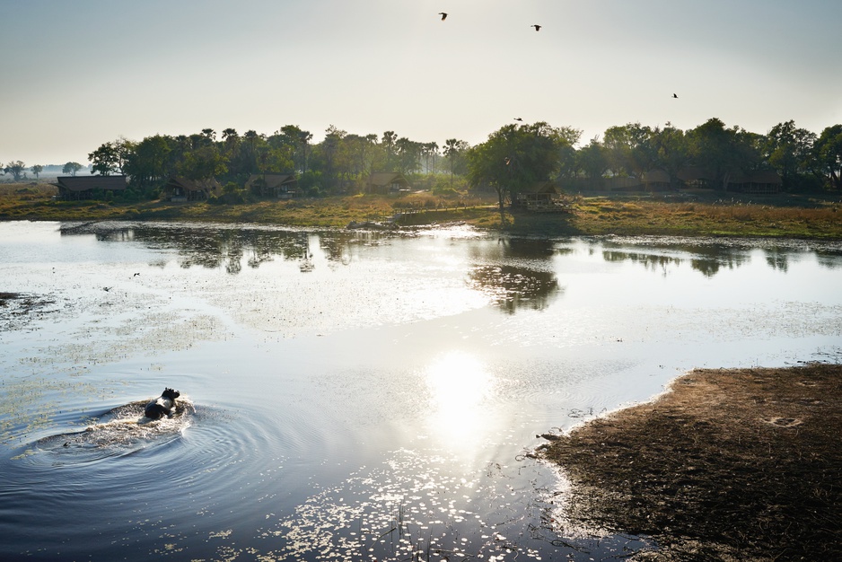 Belmond Eagle Island Lodge In The Okavango Delta