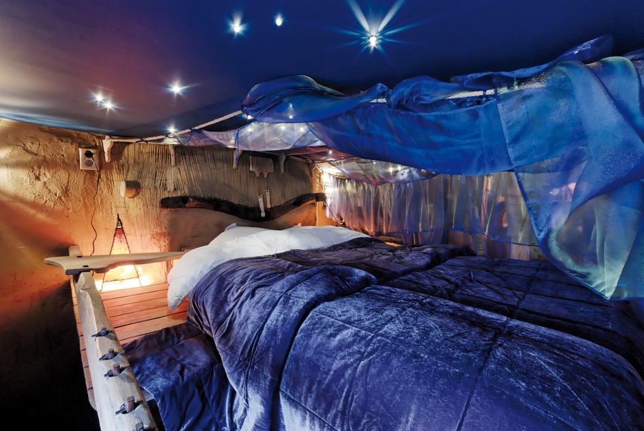 La Balade des Gnomes starry sky room