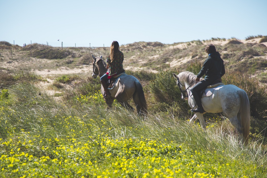 Sintra-Cascais Natural Park Horseback Riding