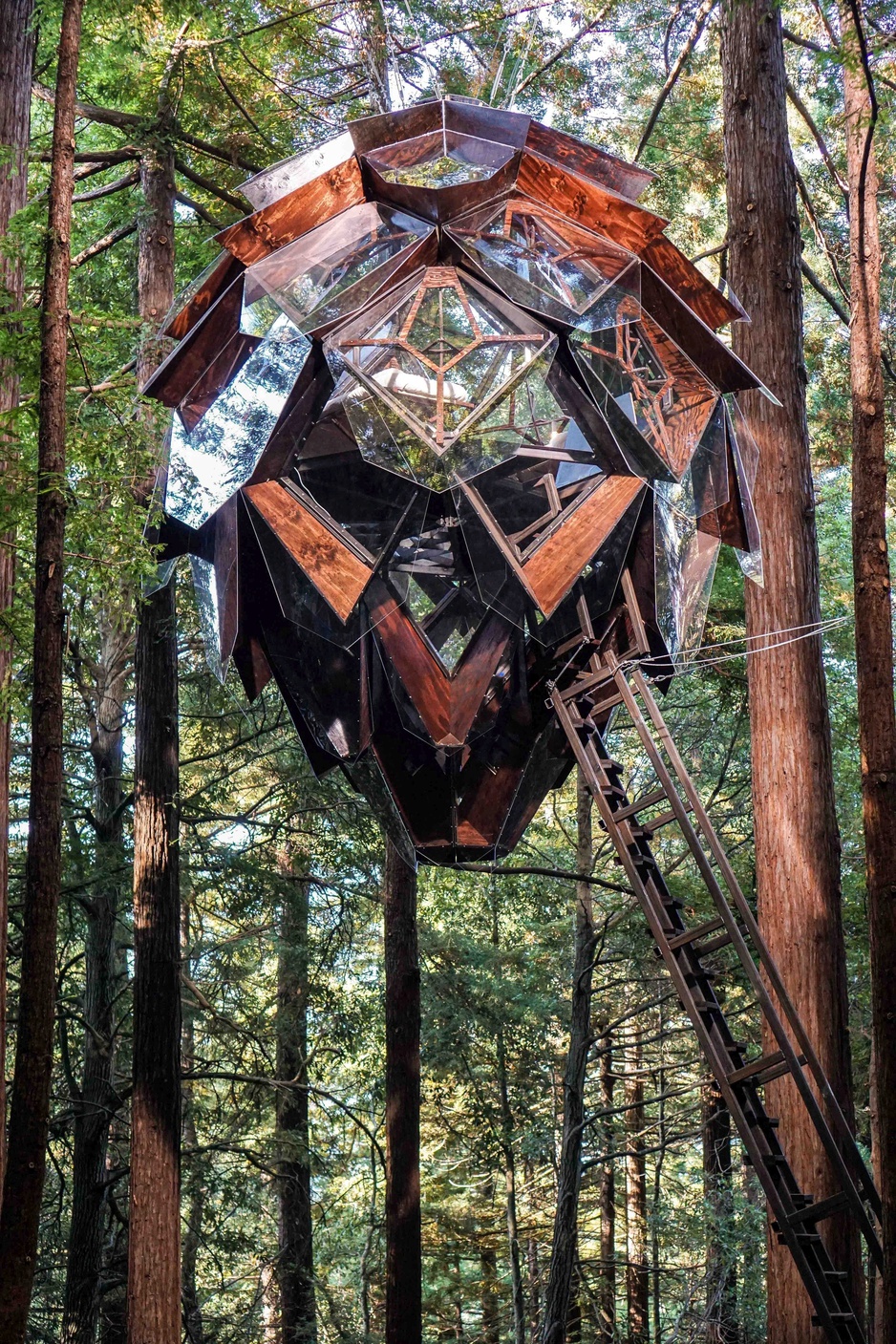 O2 Treehouse Pinecone Treehouse