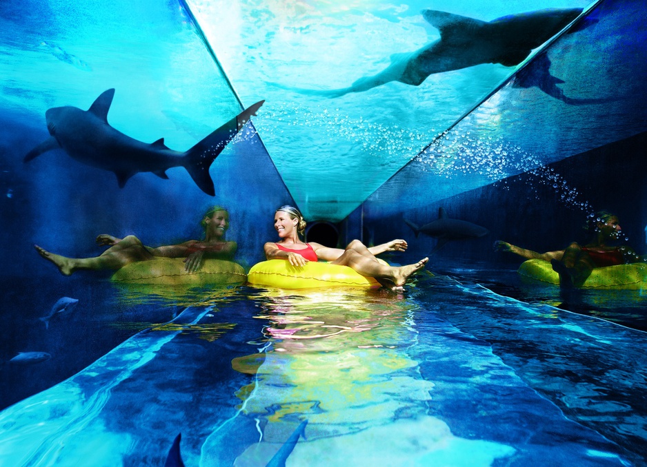 Inside the shark slide