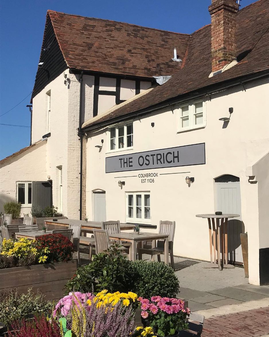 The Ostrich Inn Terrace