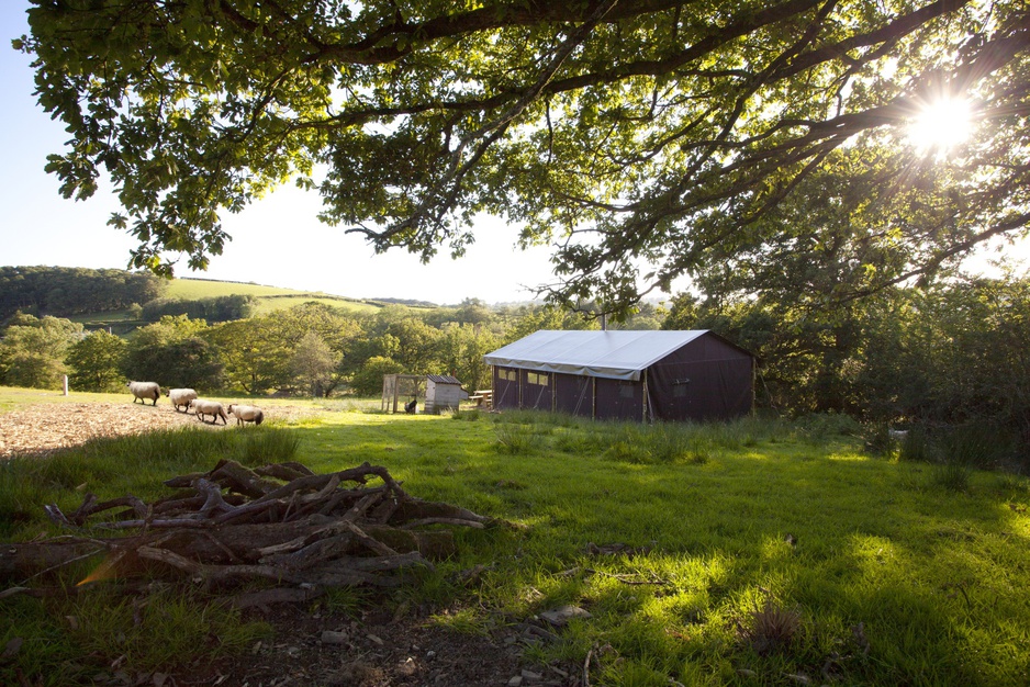 Manor Farm Alton