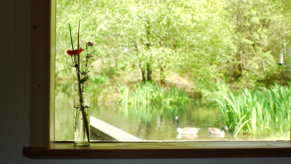 Cabin On The Lake Window View