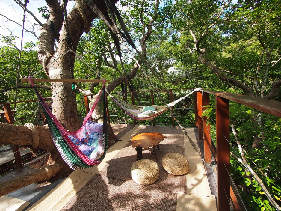 Treeful Treehouse Sustainable Resort Spiral Treehouse Rooftop Hammocks