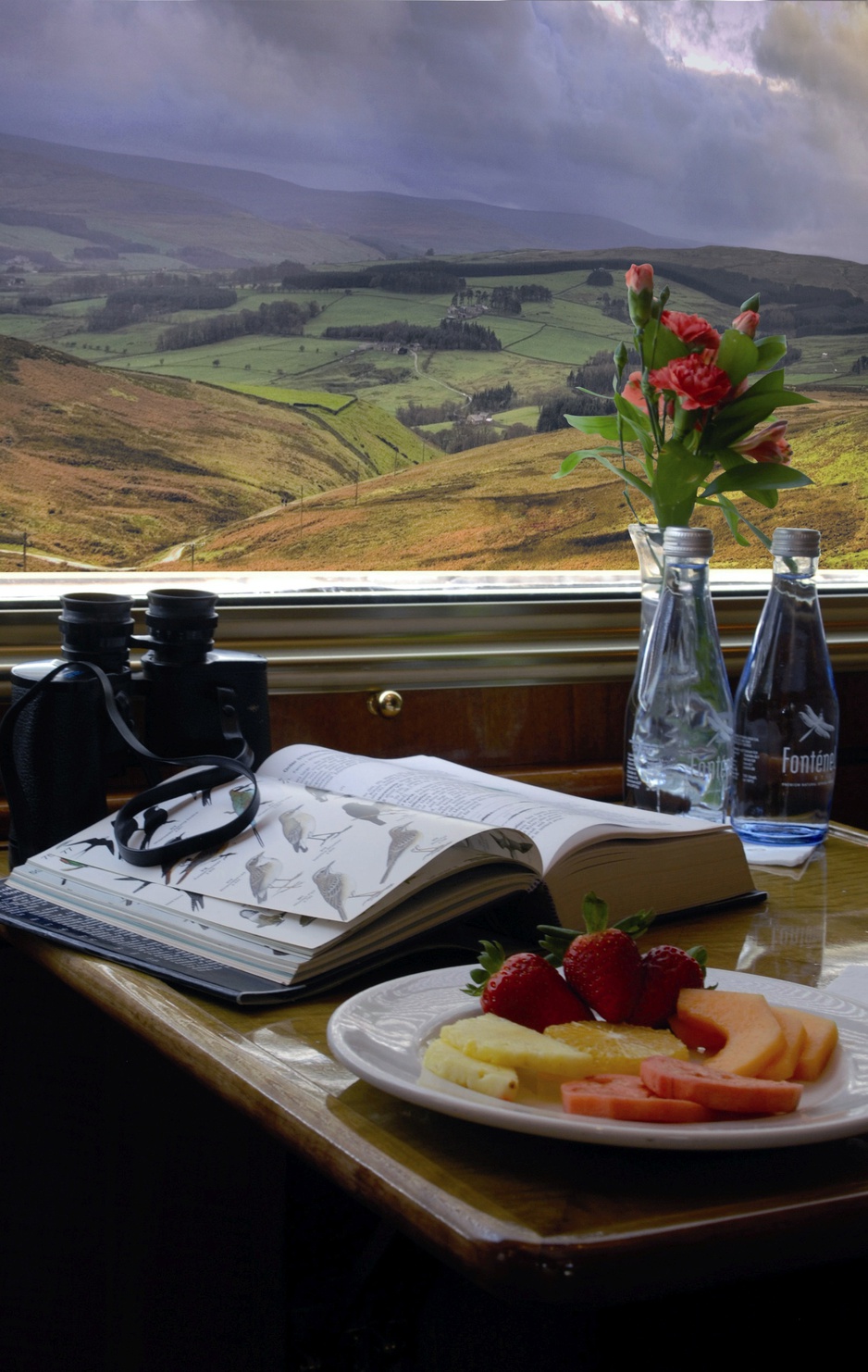 The Blue Train Window View