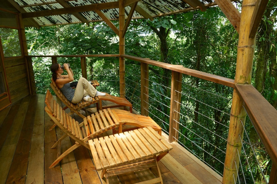 Birdwatching from the treehouse porch