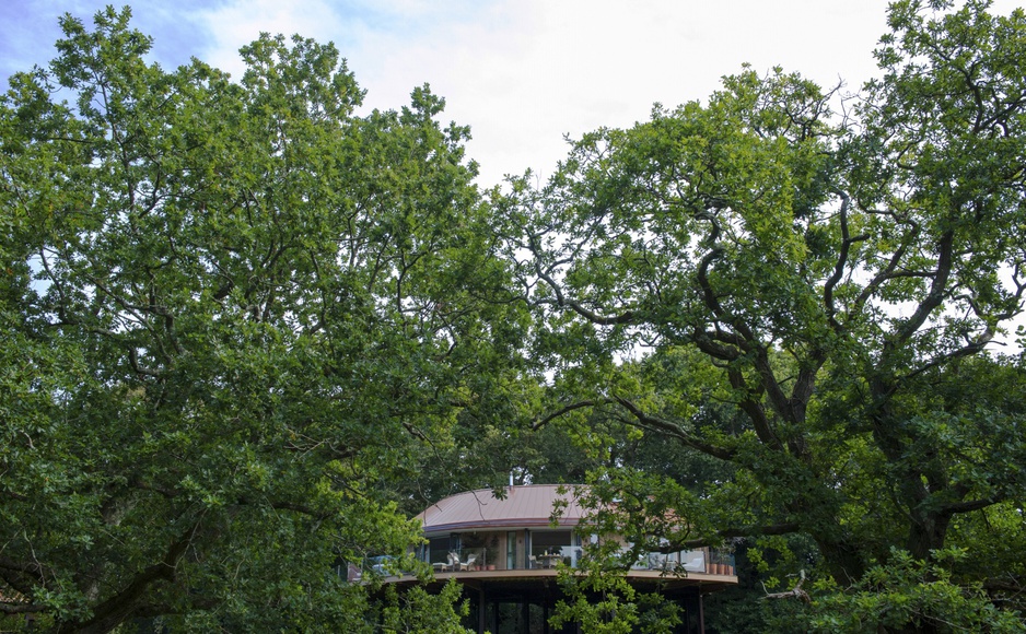 Chewton Glen Treehouse