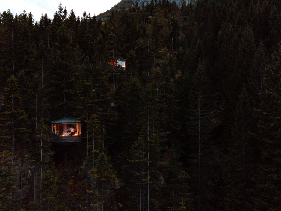 Woodnest Cabins In The Forest