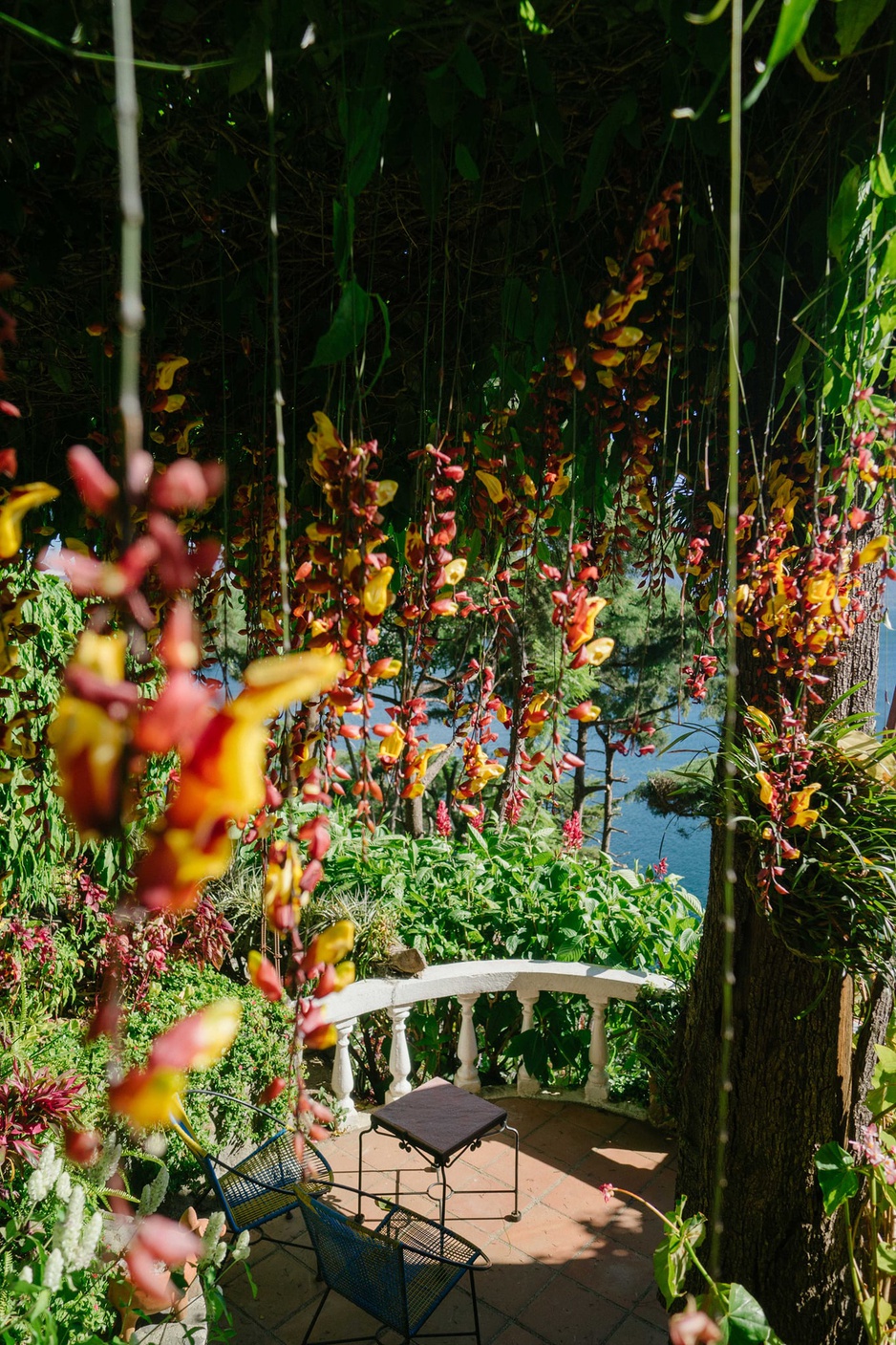 Hotel La Casa del Mundo Tropical Flower Balcony