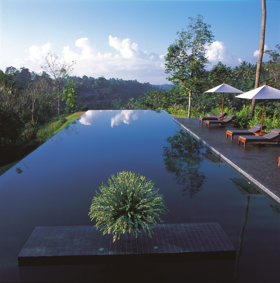 The award winning swimming pool of Alila Ubud