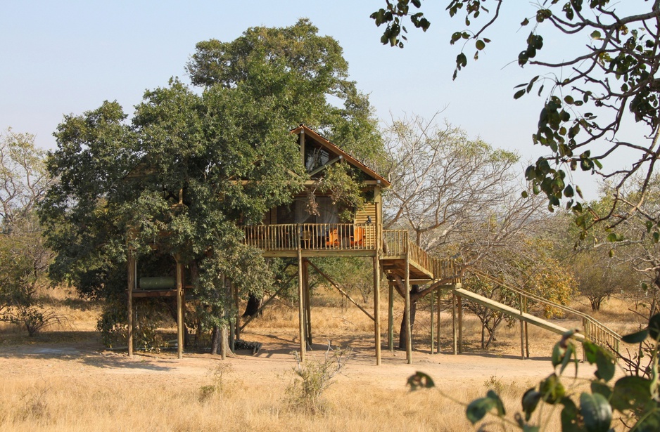 Jackalberry Tree House