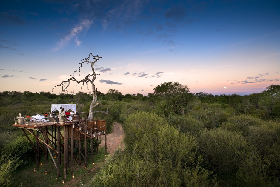 Tree house on long wooden sticks