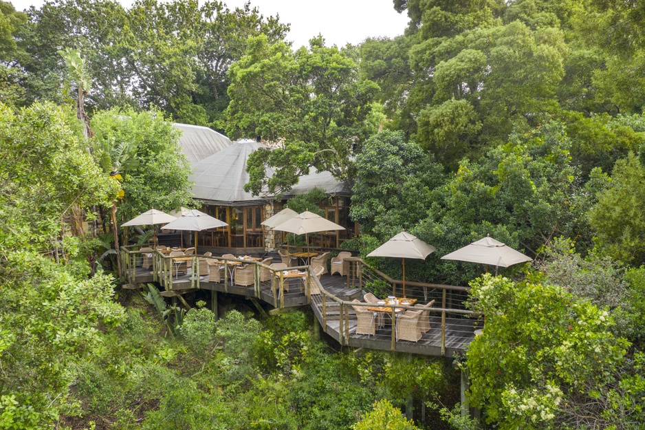 Tsala Treetop Lodge Terrace Dining