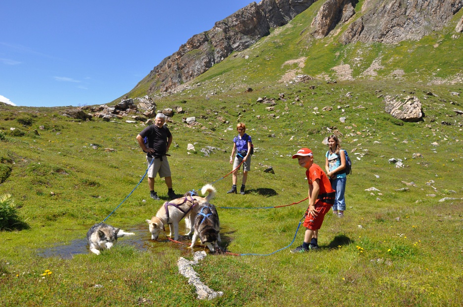 Summer hiking in the Swiss Alps