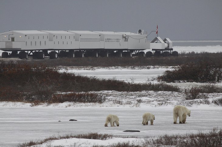 Tundra Buggy Lodge in the Wilderness of Manitoba