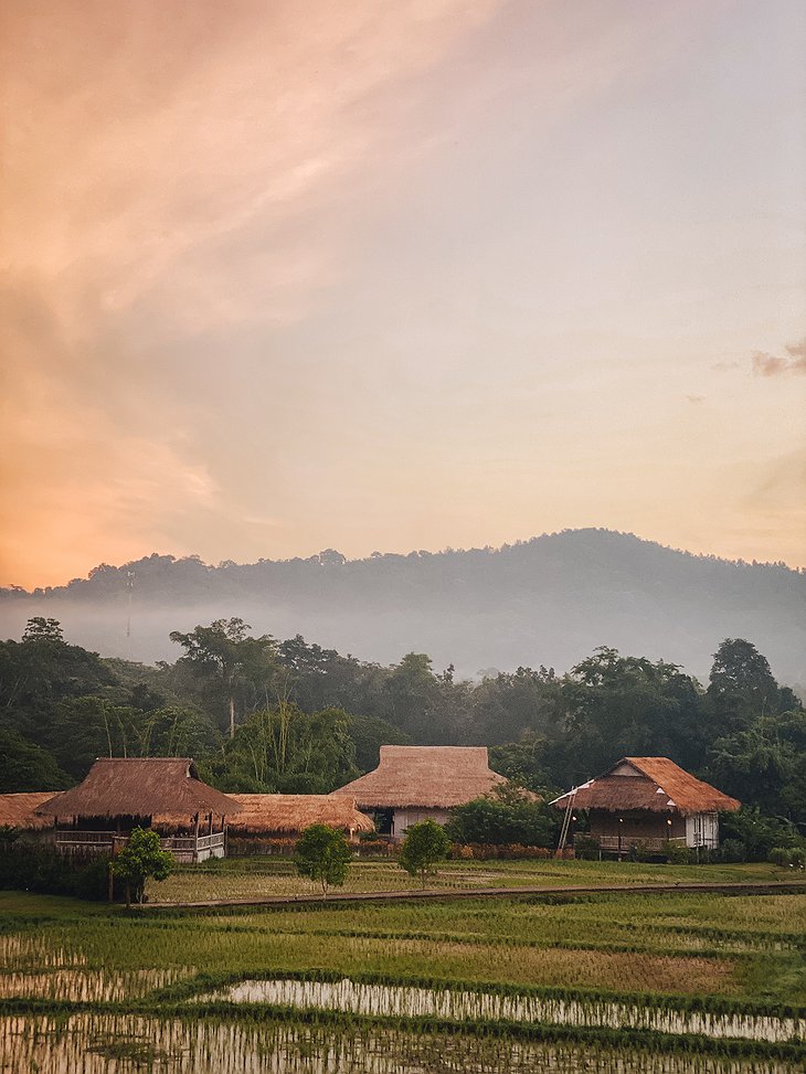 Lisu Lodge Among the Rice Fields and Northern Thailand's Mountains