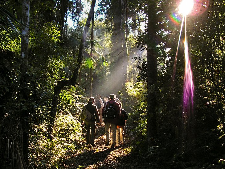 Chico Méndez and Timbo Jungle trails