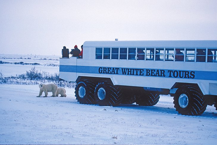 Polar Rover