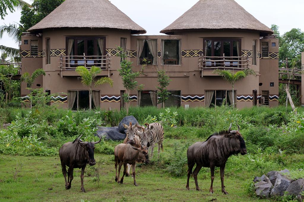 bali safari lodge hotel