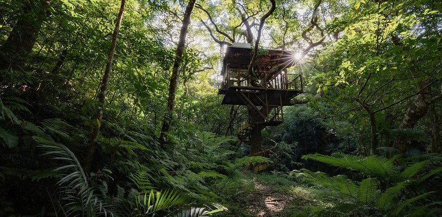 6 Beautiful Rain Forest Hotels With Incredible Views and Wildlife Adventures