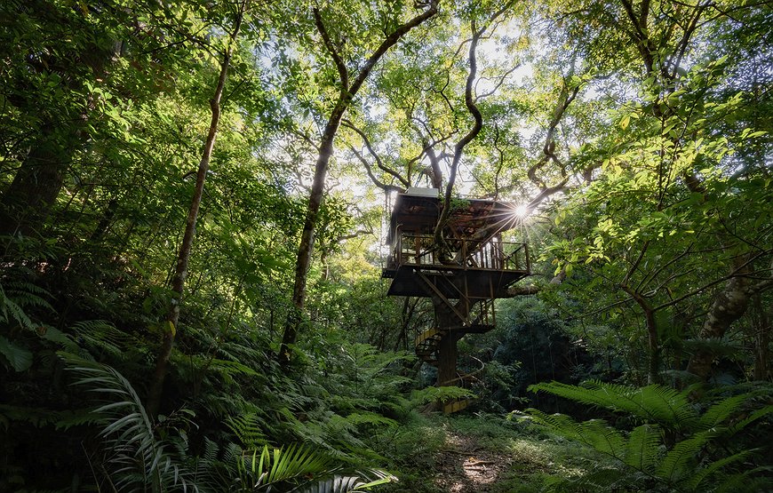 Treeful Treehouse Sustainable Resort In The Jungles Of Okinawa