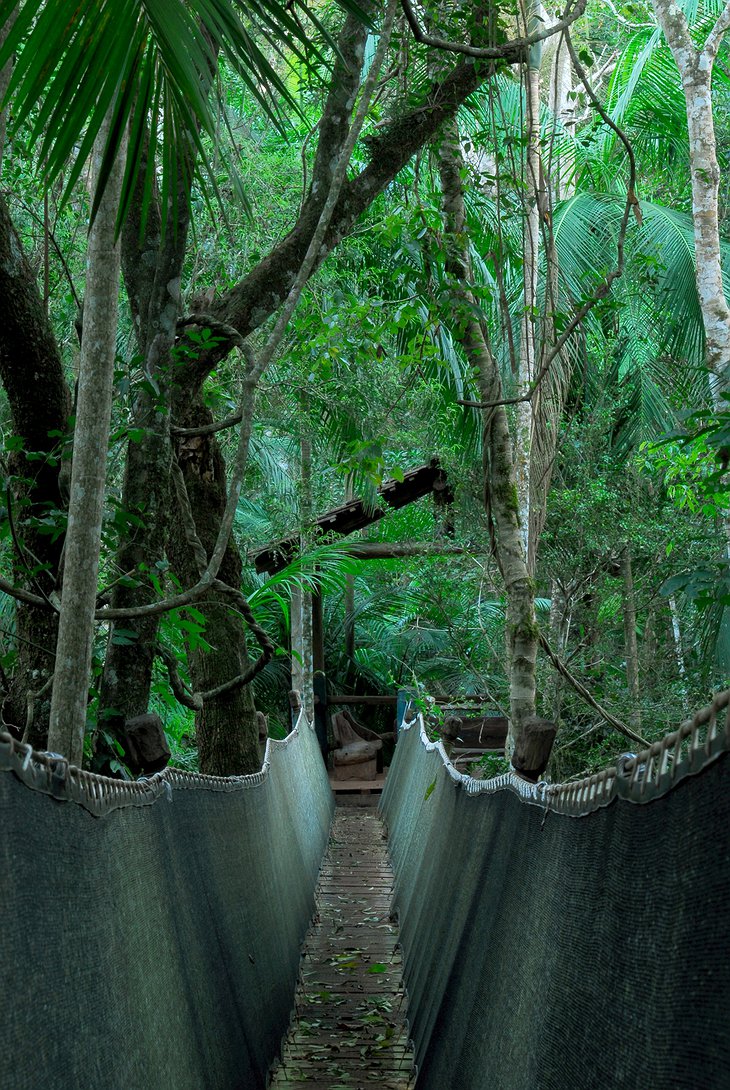 Yacutinga Lodge Canopy Walk