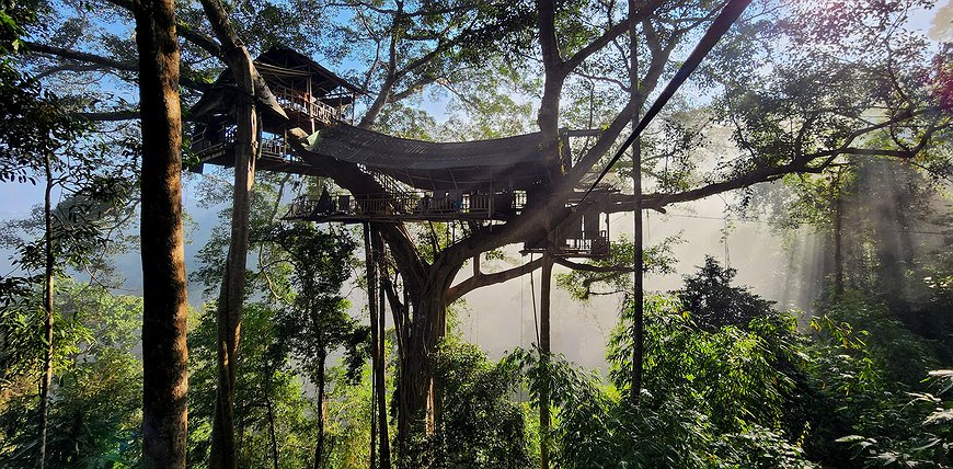 Gibbon Experience - Sleep in the World's Highest Treehouses in Northern Laos